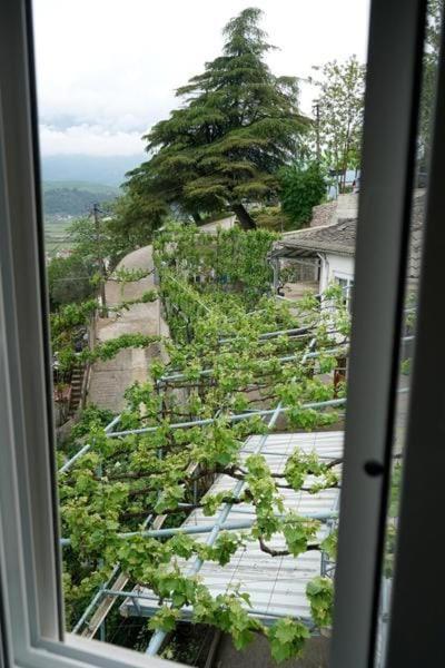 Welcome Bazzar Gjirokastër